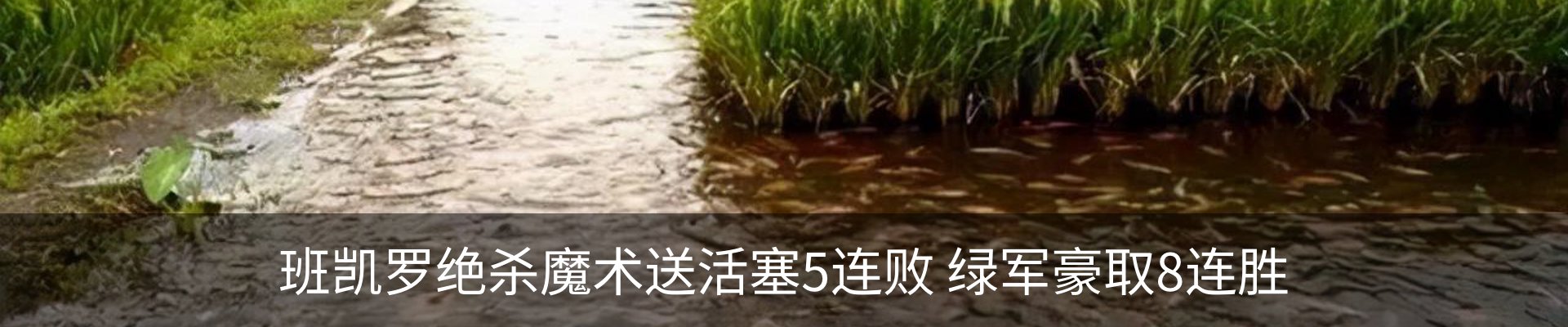 内页banner